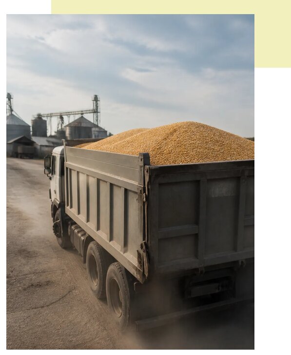 Перевозка сельхозпродукции навалом в Похвистнево по цене от 3076 р. | Агросервис-Пхв